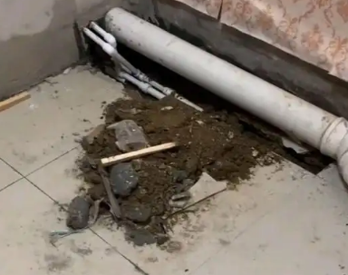 普兰卫生间漏水检测哪家好